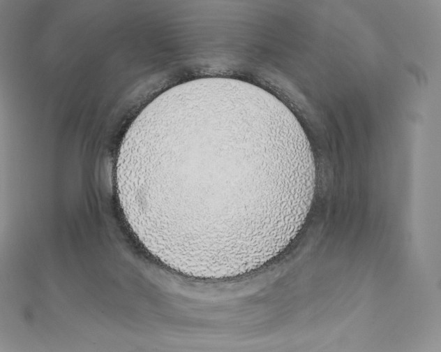 X0000111130022200907281101