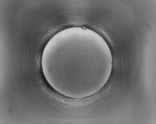 X0000111130023200907281101