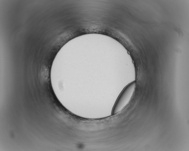 X0000111130025200907281101