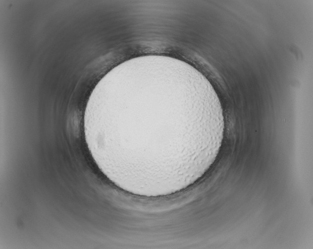 X0000111130026200907281101
