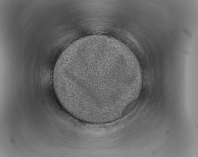 X0000111130029200907281101