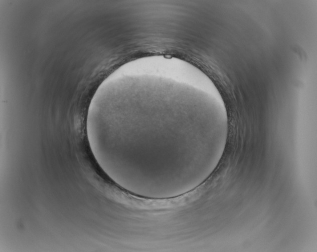 X0000111130031200907281101