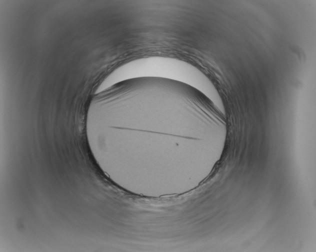 X0000111130033200907281101