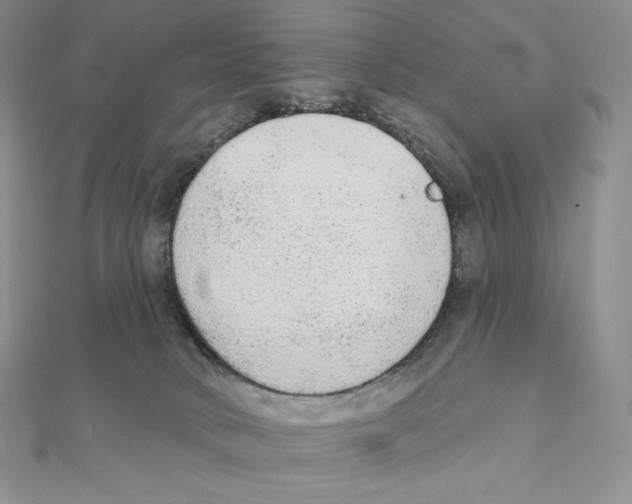 X0000111130034200907281101