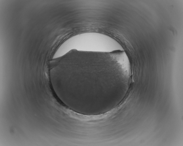X0000111130035200907281101