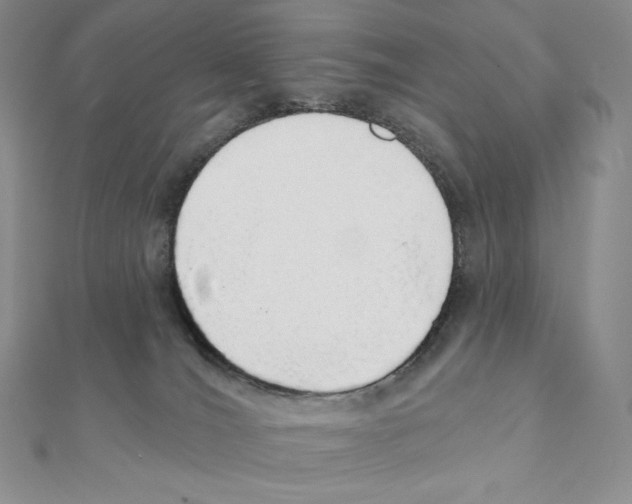 X0000111130036200907281101