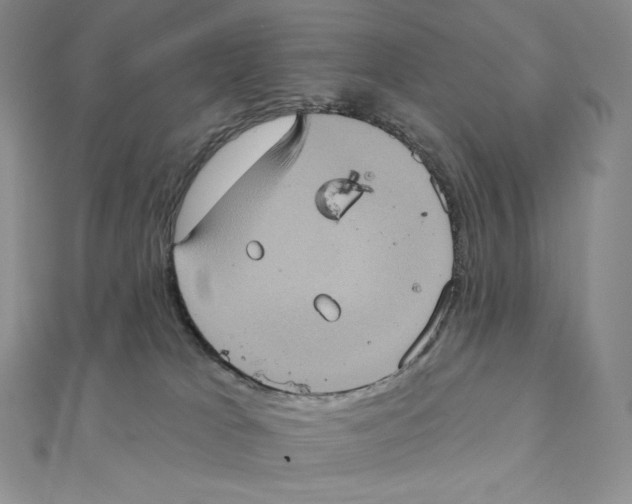 X0000111130037200907281101