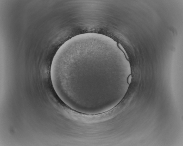 X0000111130039200907281101