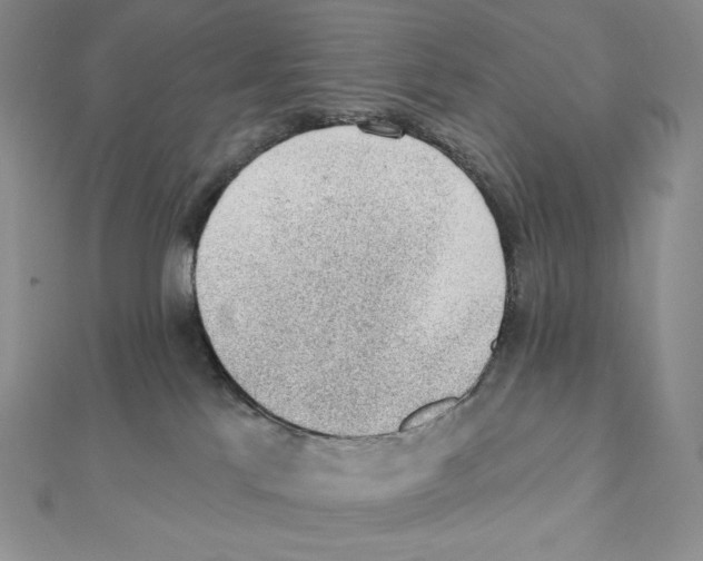 X0000111130041200907281100