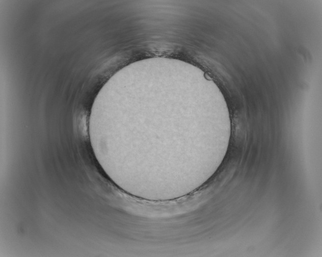 X0000111130042200907281100
