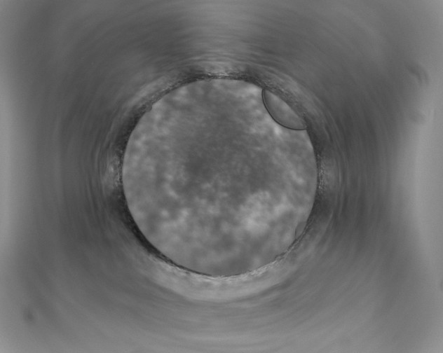 X0000111130043200907281100