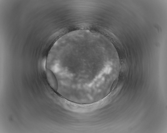 X0000111130047200907281100