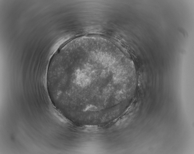 X0000111130052200907281100