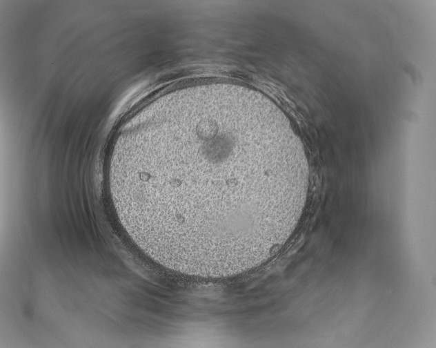 X0000111130053200907281100