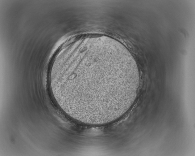 X0000111130056200907281100