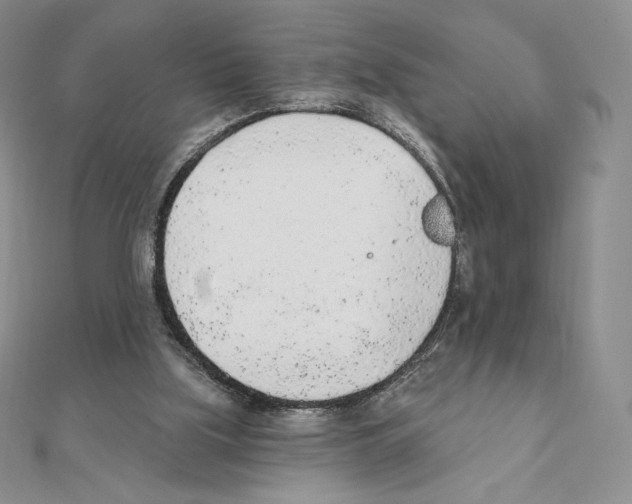 X0000111130059200907281100