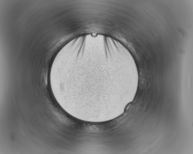 X0000111130062200907281100