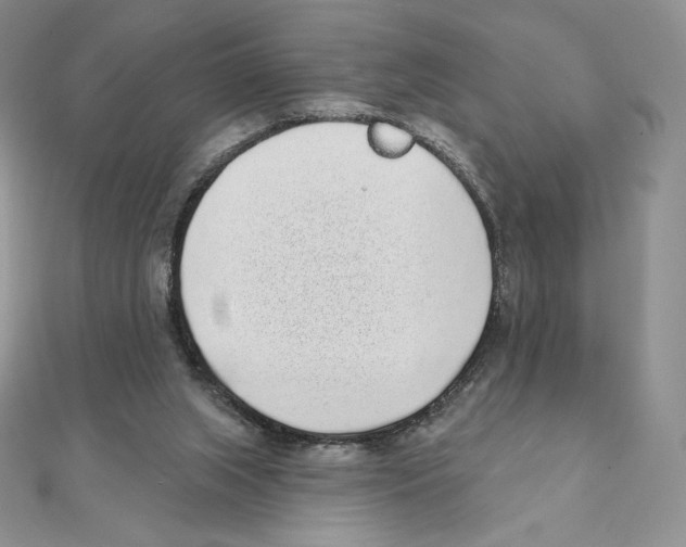 X0000111130063200907281100