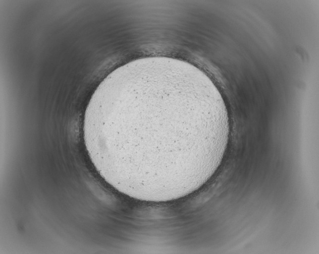 X0000111130065200907281100