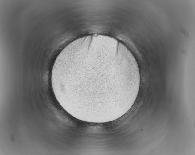 X0000111130066200907281100
