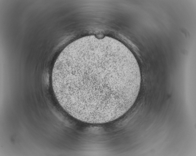 X0000111130067200907281100