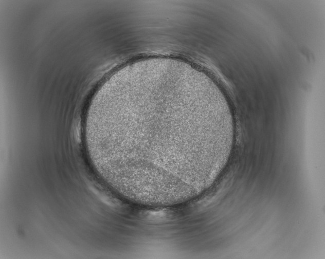 X0000111130068200907281100