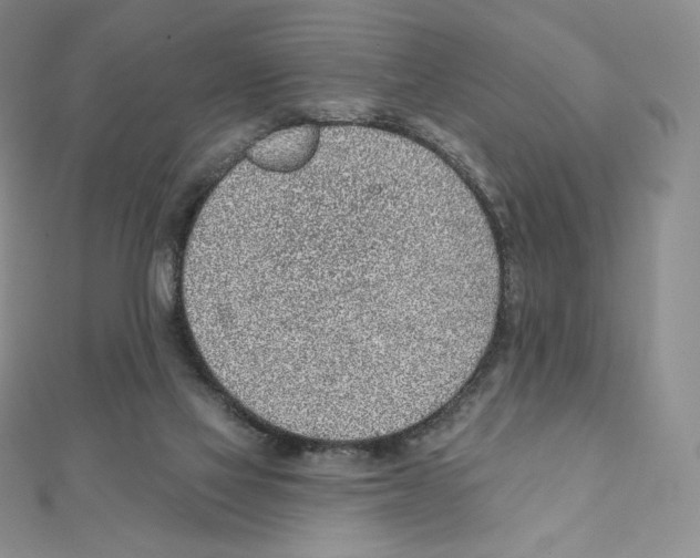 X0000111130069200907281100