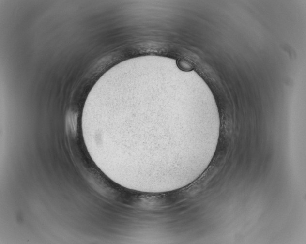 X0000111130070200907281100