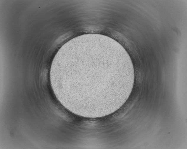 X0000111130071200907281100