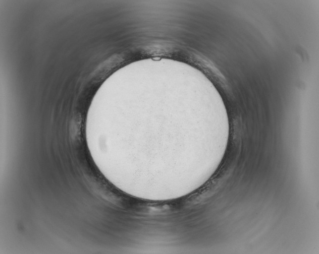X0000111130073200907281100