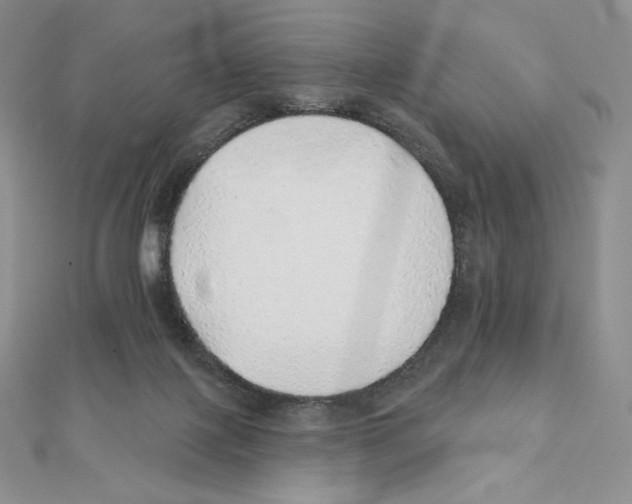 X0000111130075200907281100