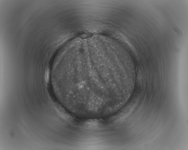 X0000111130076200907281100