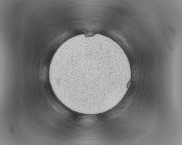 X0000111130077200907281100