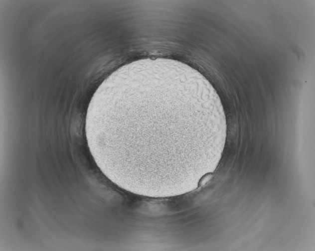 X0000111130078200907281100
