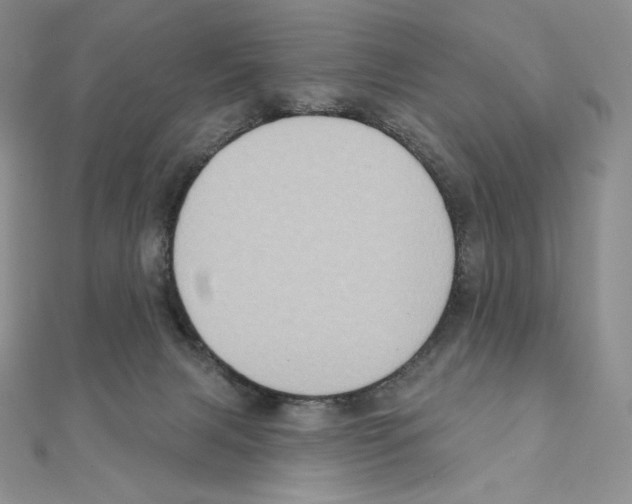 X0000111130079200907281100