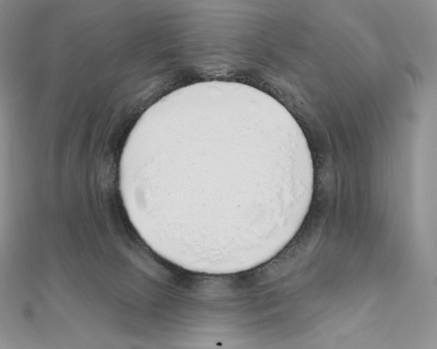 X0000111130081200907281100