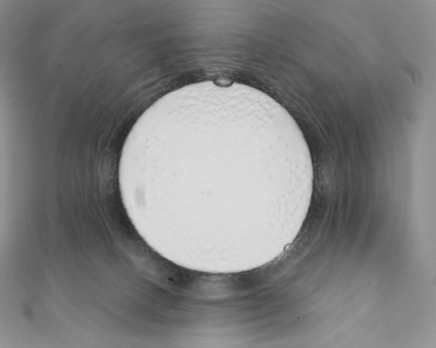 X0000111130082200907281100