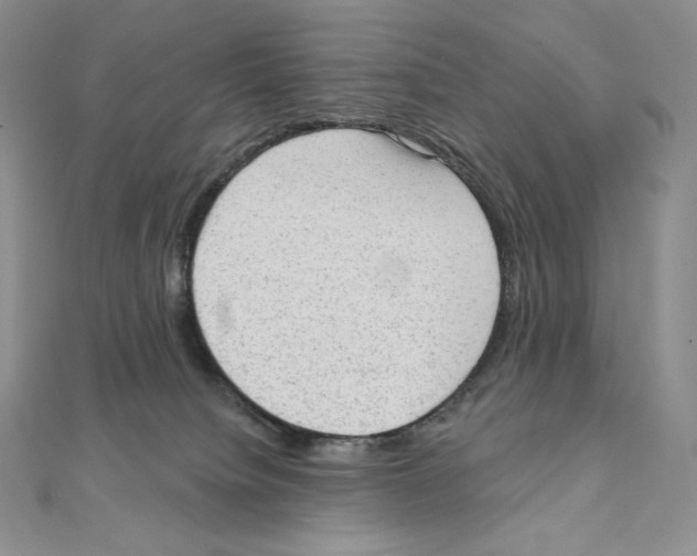 X0000111130084200907281100