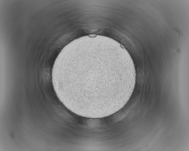 X0000111130085200907281100
