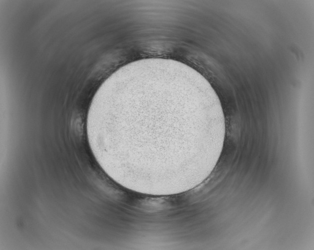 X0000111130086200907281100