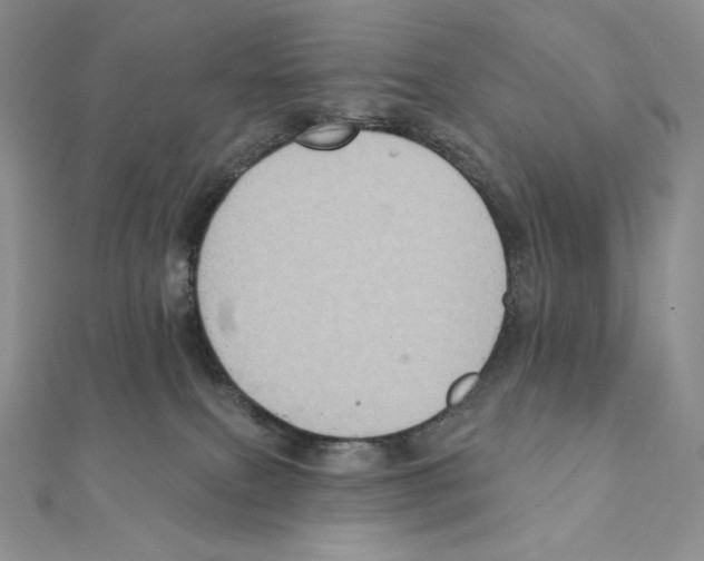 X0000111130087200907281100