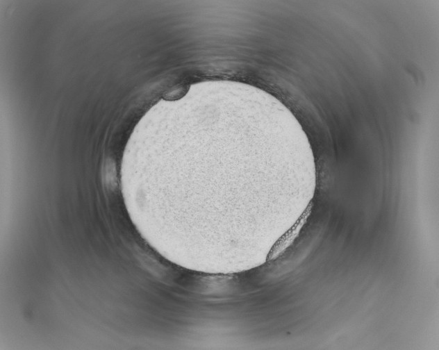 X0000111130089200907281100