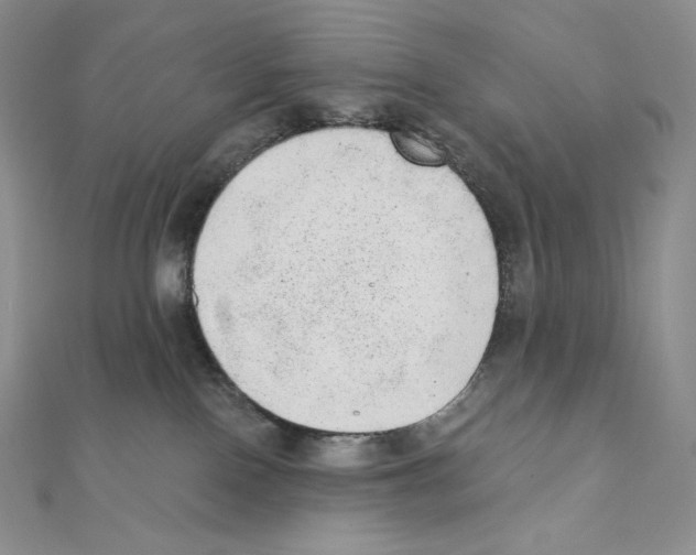 X0000111130090200907281100