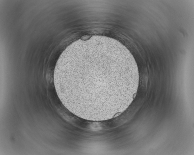X0000111130091200907281100
