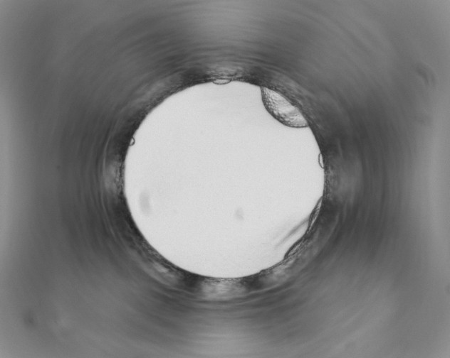 X0000111130093200907281100