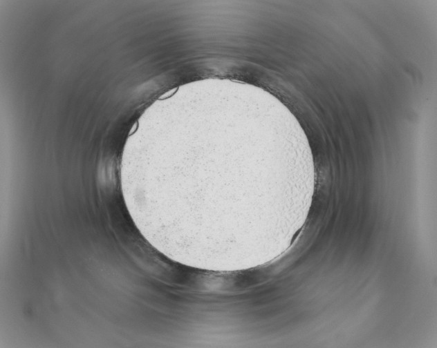 X0000111130094200907281100