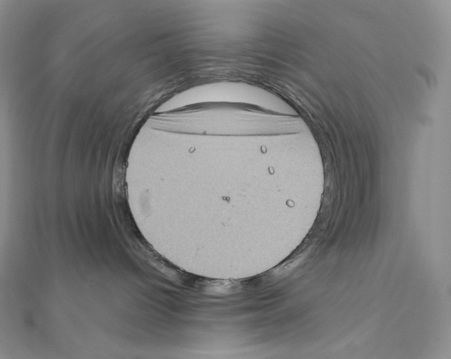 X0000111130096200907281100