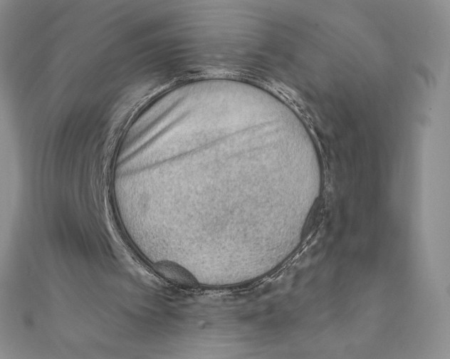 X0000111130097200907281100