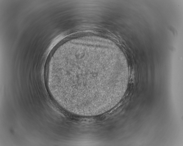 X0000111130099200907281100