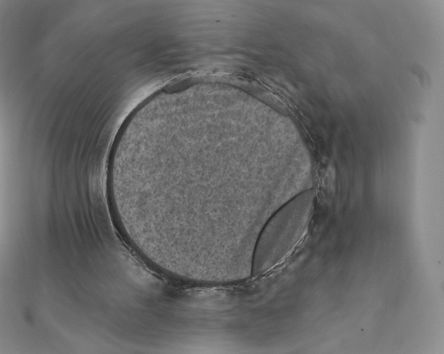 X0000111130100200907281059